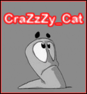 crazy_cat